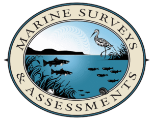 Near-shore and wetlands image with sky, mountains, sun, mountains, heron, fish, eelgrass, crab and snail.